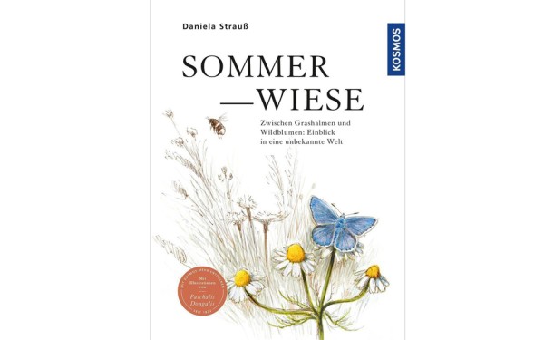Sommerwiese - Einblick in eine unbekannte Welt