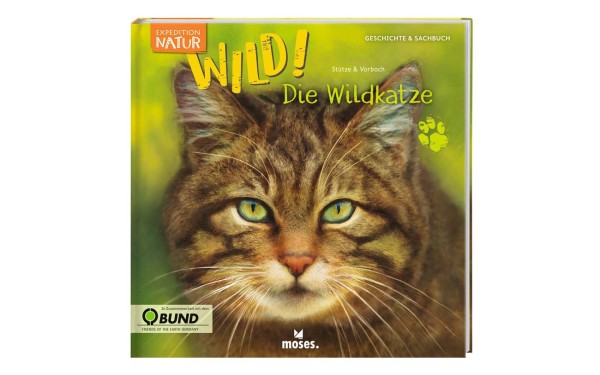 Expedition Natur - WILD! Die Wildkatze