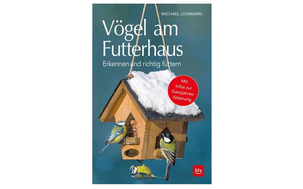 Vögel am Futterhaus - Erkennen und richtig füttern ...